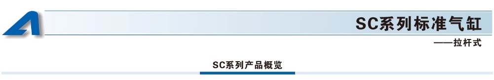 ǵ¿Сͱ׼SC63X300S